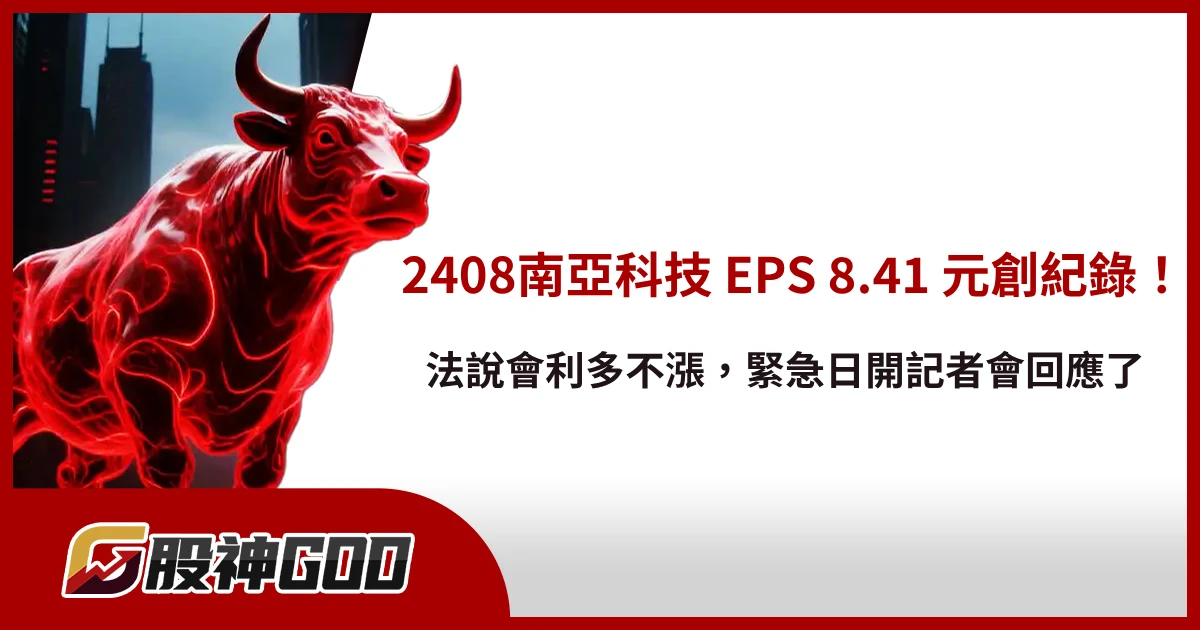 2408南亞科技 EPS 8.41 元創紀錄!法說會利多不漲,緊急日開記者會回應了!